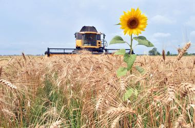 Украина в этом году может собрать равный прошлому году урожай зерновых