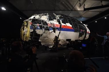 Нидерланды назвали виновного в крушении "Боинга-777" в Украине