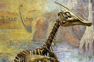 "Кладбище динозавров": новая загадка для ученых