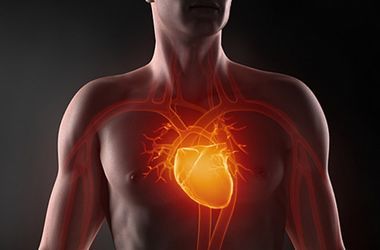 Медики назвали основные причины болезней сердца