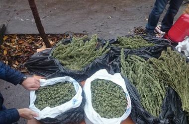 У жителя Запорожья нашли наркотики на миллион