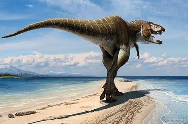 В Шотландии нашли сотни следов гигантских динозавров