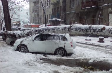 В Харькове непогода валила деревья на машины и рвала электропровода