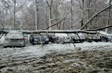 Испытание снегом: в Харькове непогода валила столбы и сносила крыши