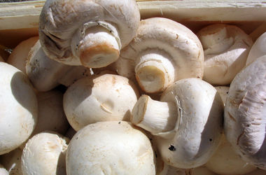 По всей Украине растут цены на грибы