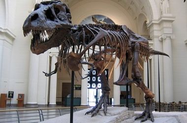 Могильники Юрского периода: как и где фор­­мировались хранилища скелетов динозавров