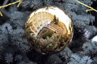Все елки Киева: как выглядят главные новогодние деревья столицы