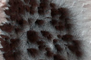 NASA показало невероятный снимок с Марса