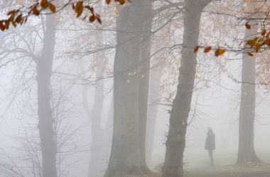 Синоптики предупреждают о тумане в Киевской области