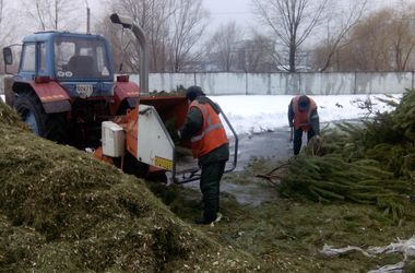 Во что превратились новогодние елки в Киеве