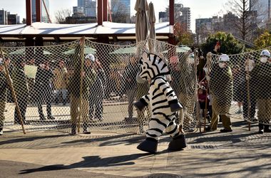В Токио сотрудники зоопарка убили коллегу в костюме зебры