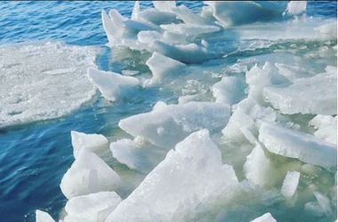 Площадь льдов в Арктике сократилась до рекордного уровня 