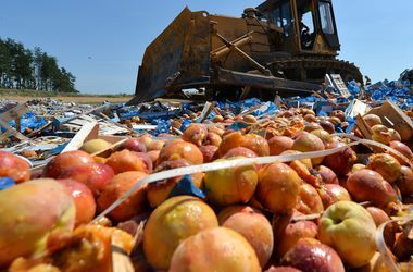 В аннексированном Крыму уничтожили почти две тонны санкционных овощей и фруктов