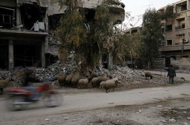 США заявили о достижении с РФ соглашения о перемирии в Алеппо