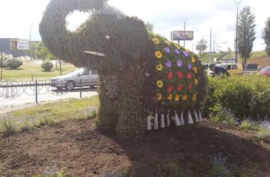 Возвращение слона: в Киеве коммунальщики обновили необычную скульптуру из цветов