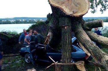 Шквалы во Львовской области: огромное  дерево раздавило легковушку