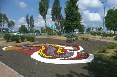 Орнамент из цветов: в Киеве украсили сквер на Драйзера
