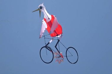 Видеохит: в небо запустили цаплю на велосипеде