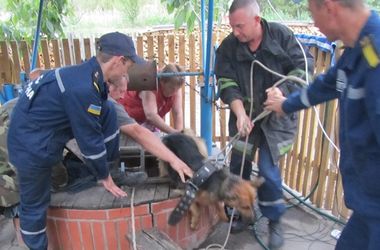 Под Киевом пожарные спасли собаку из глубокого колодца