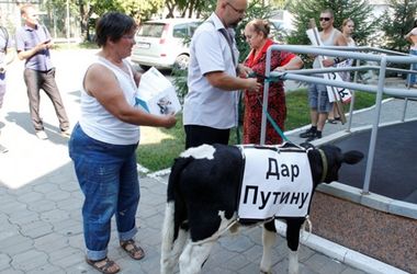В приемной Путина фермеры оставили теленка 
