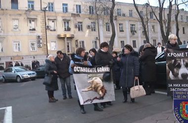 Одесситы вышли на митинг из-за догхантеров