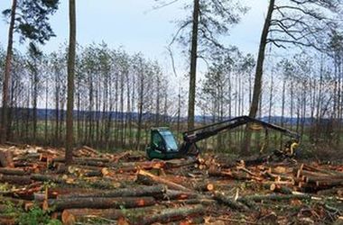 ЕС поддерживает Украину в ее желании защитить свои леса