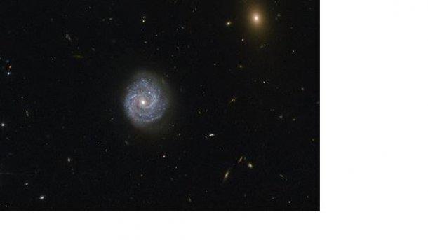 Ученые обнаружили таинственную черную дыру в центре спиральной галактики