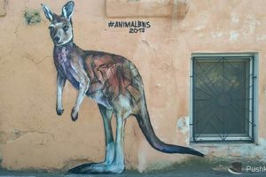 В центре Одессы нарисовали двухметрового кенгуру