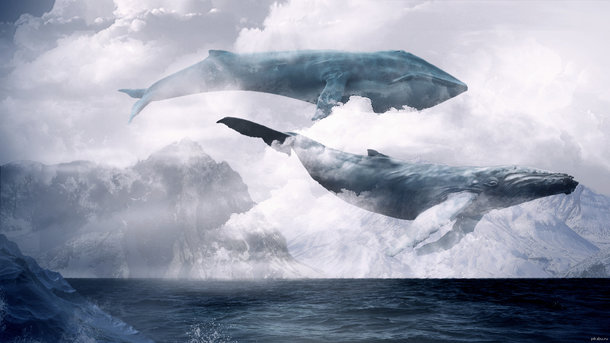 Охота на "Синих китов": 7 советов родителям