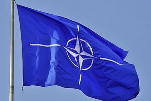 В Эстонии считают, что россияне планируют провокации против военных НАТО