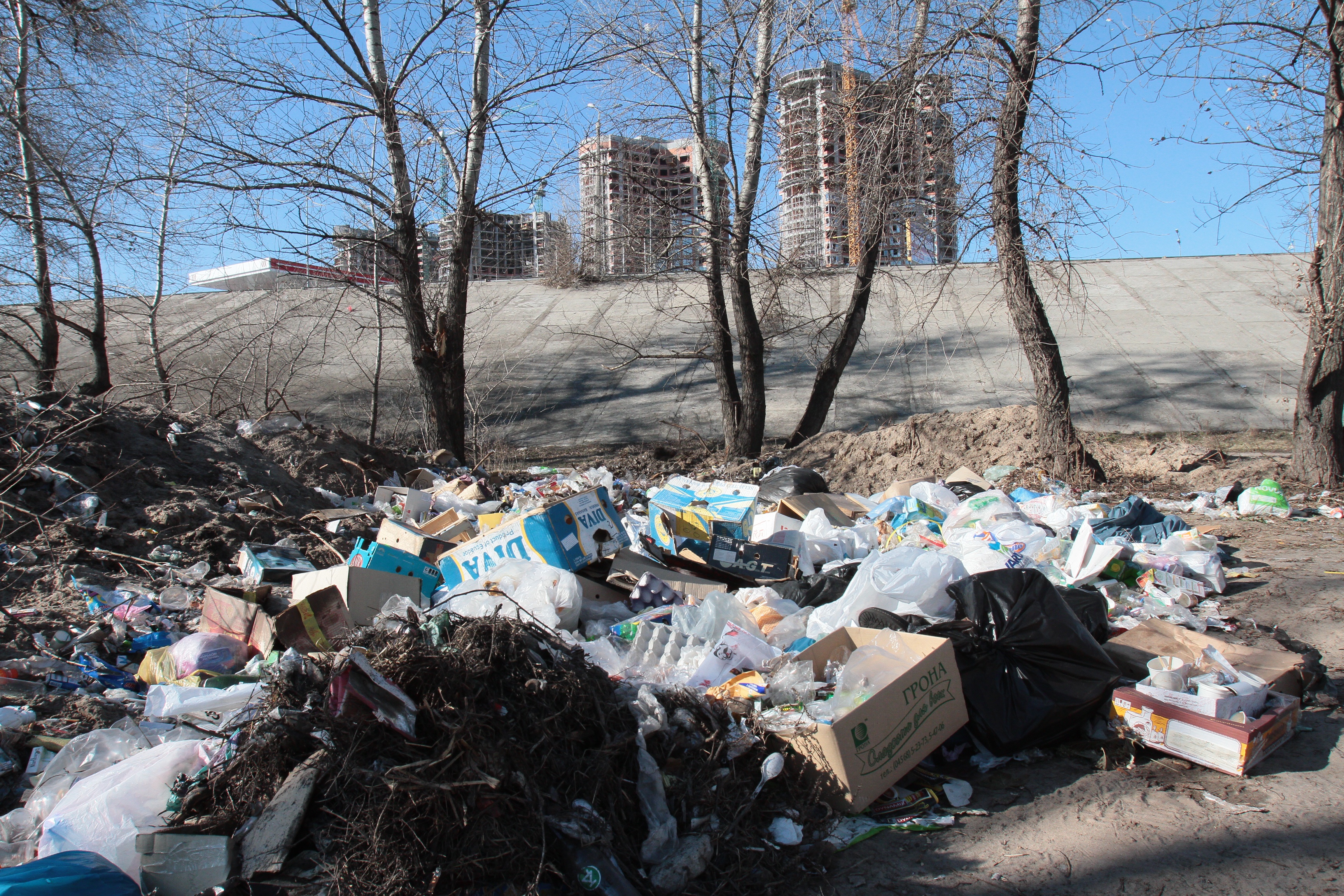 Метро "Славутич". Дачники экономят и засыпали горами мусора дорогу к своим домам. Фото: Г. Салай