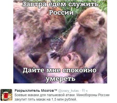 Соцсети взорвала покупка макак для Минобороны России  