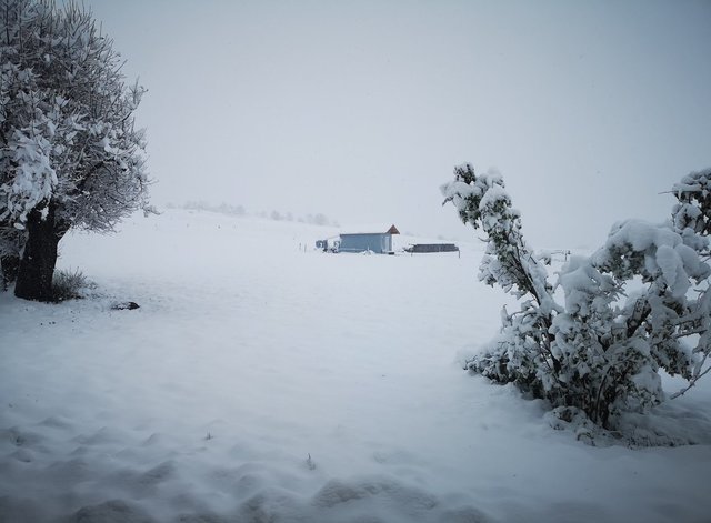 Во Франции объявлен «оранжевый» уровень опасности из-за сильного снегопада