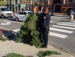 В США арестовали человека-елку, ходившего по проезжей части (фото,видео) 