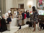 Мишель Обама показала, как украсила Белый дом к Рождеству (фото) 