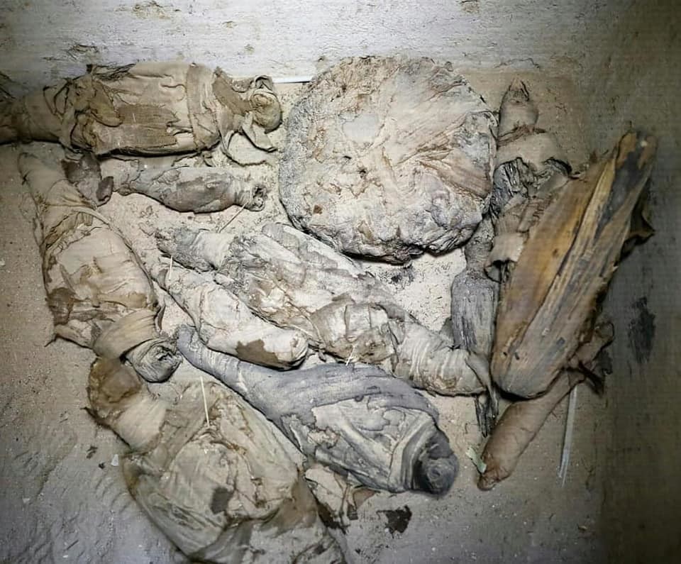 В гробнице эпохи Птолемеев было ритуально захоронено более 50 мумий
