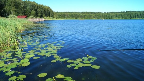 Озеро Сладкое было популярным у местных отдыхающих. Фото: forbes.kz