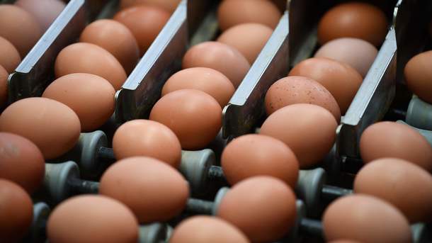 Некоторые супермаркеты временно полностью прекратили продажу яиц. Фото: AFP