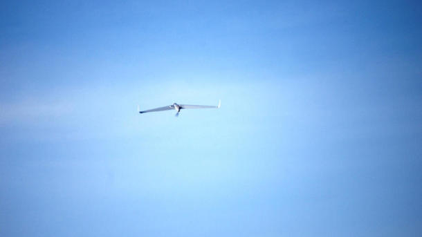 Израильский дрон. Фото: Wikimedia Commons