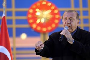 "Мы не стремимся к захвату": Эрдоган сделал заявление по планам Турции в Сирии