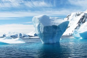 Кто обитает на дне Антарктиды: первое фото в истории
