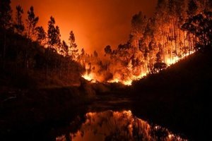 В России горит почти 70 тыс. гектаров леса, пылает даже Сахалин