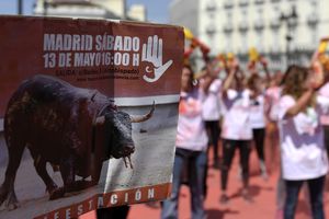 В Мадриде прошел многотысячный митинг против корриды