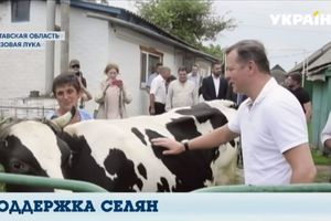 Чтобы кормила семью: Ляшко подарил корову молодому бойцу АТО