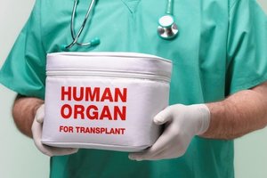 В Германии пытаются популяризировать трансплантацию органов