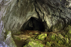 Ученые нашли в древней пещере нечто невероятное