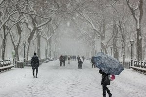 Снег и мороз до -8: синоптики рассказали, какой будет погода на выходных