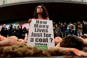 Голый протест в Испании: зоозащитники облились "кровью" в центре Барселоны