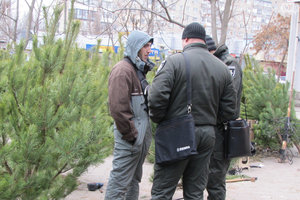 В Мелитополе "зачистили" незаконных торговцев елками