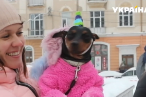 В Черновцах устроили гонки на собачьих упряжках